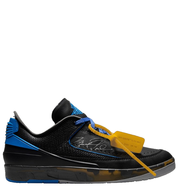 blue and black jordans 2